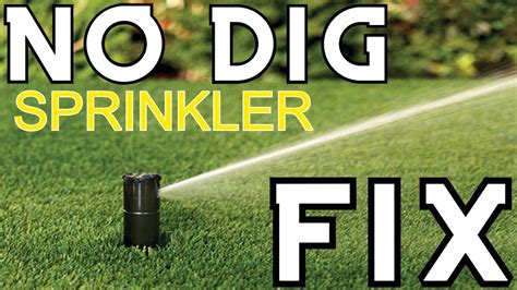 leaking sprinkler head when off|How To Fix A Leaking Sprinkler Head Step By Step